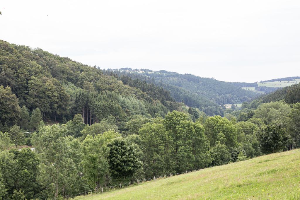 Ferienwohnung Ruhenest Willingen  Extérieur photo